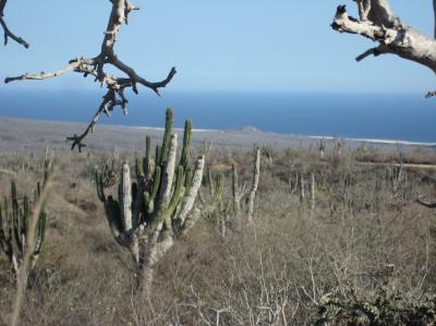 Lots/Land For sale in Cabo San Lucas, Baja California Sur, Mexico - Sin Nombre